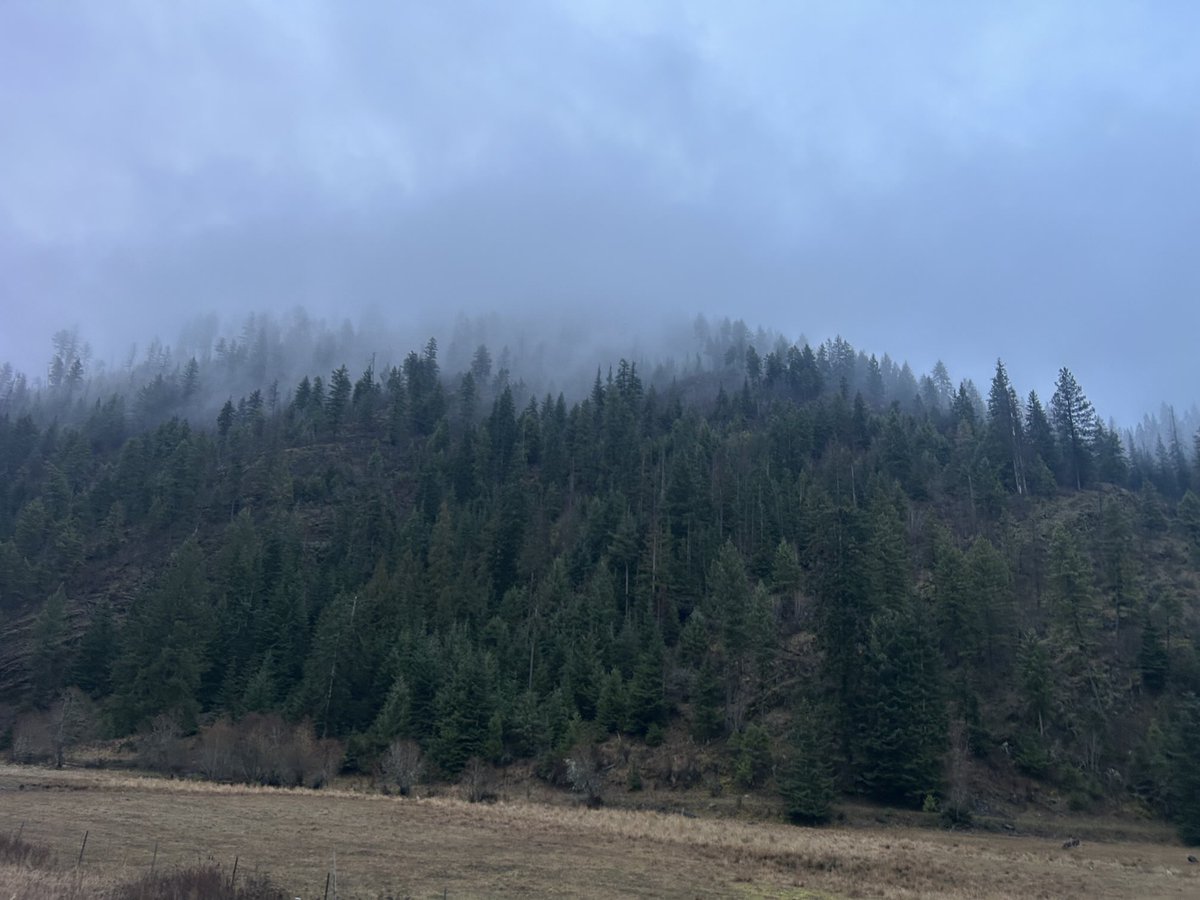 David L Matthie tweet media