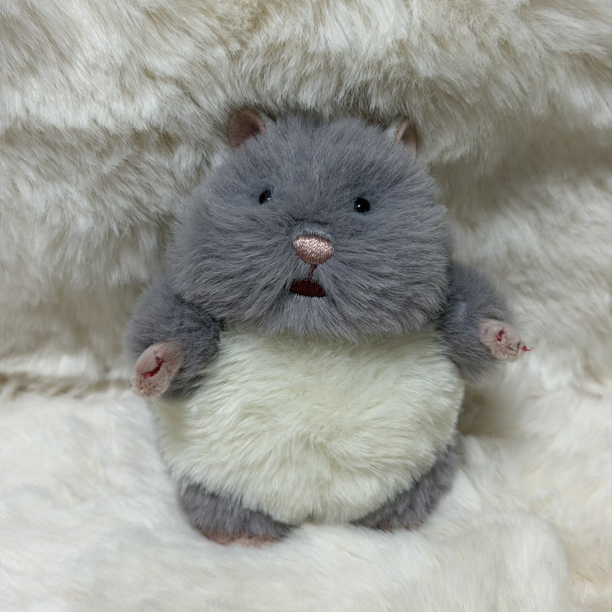 hamhamstarrrr's tweet photo. 断髪式おわり🐹✂️ https://t.co/tNypTGnLBy