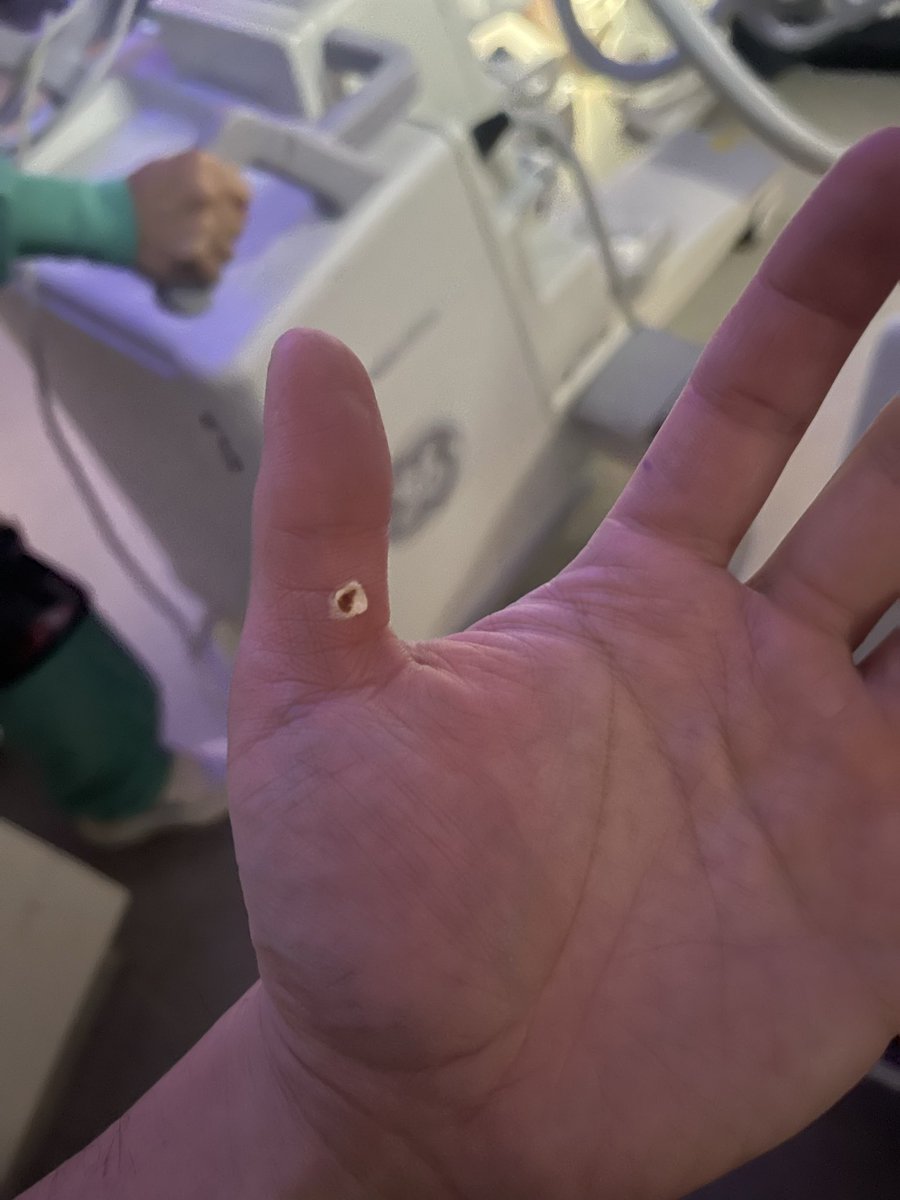 Perry Xu tweet media