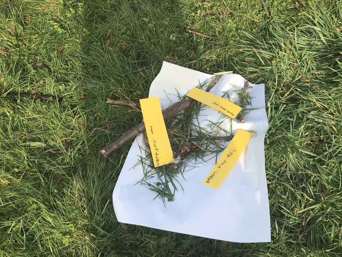 Byron Primary School tweet media