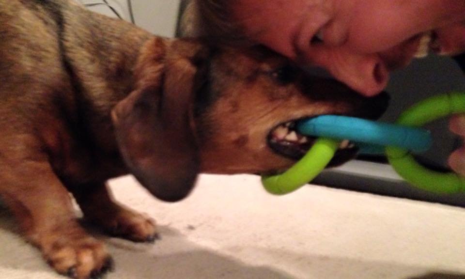 Josie, Jeff, & Jack Bauer🌈 tweet media