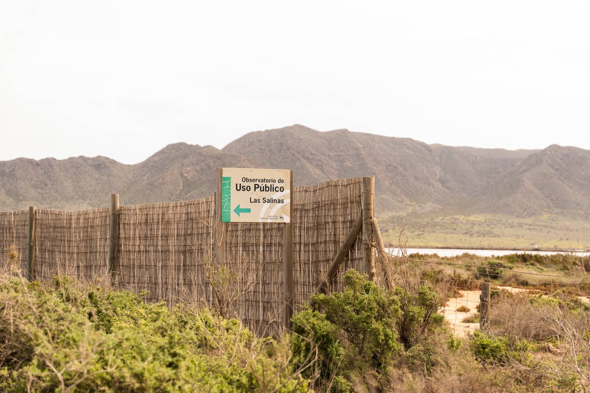 Consejería de Sostenibilidad y Medio Ambiente tweet media
