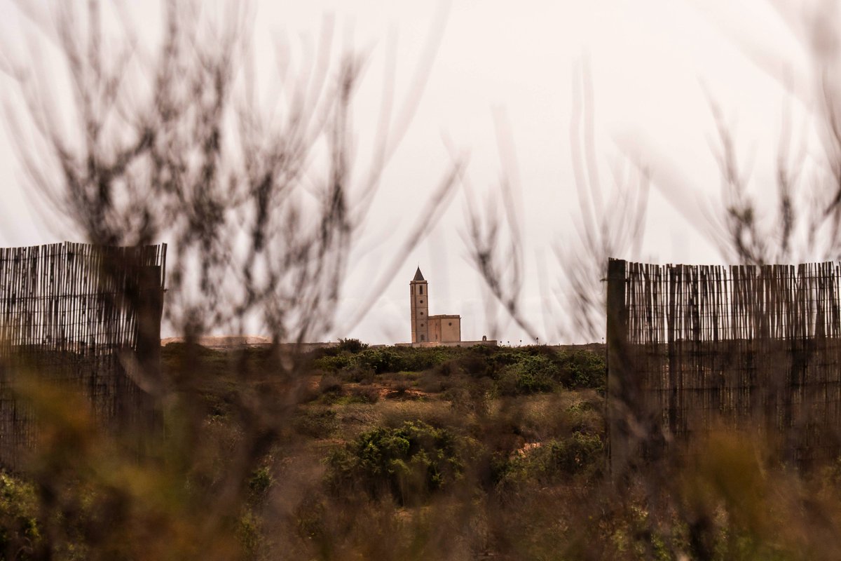 Consejería de Sostenibilidad y Medio Ambiente tweet media