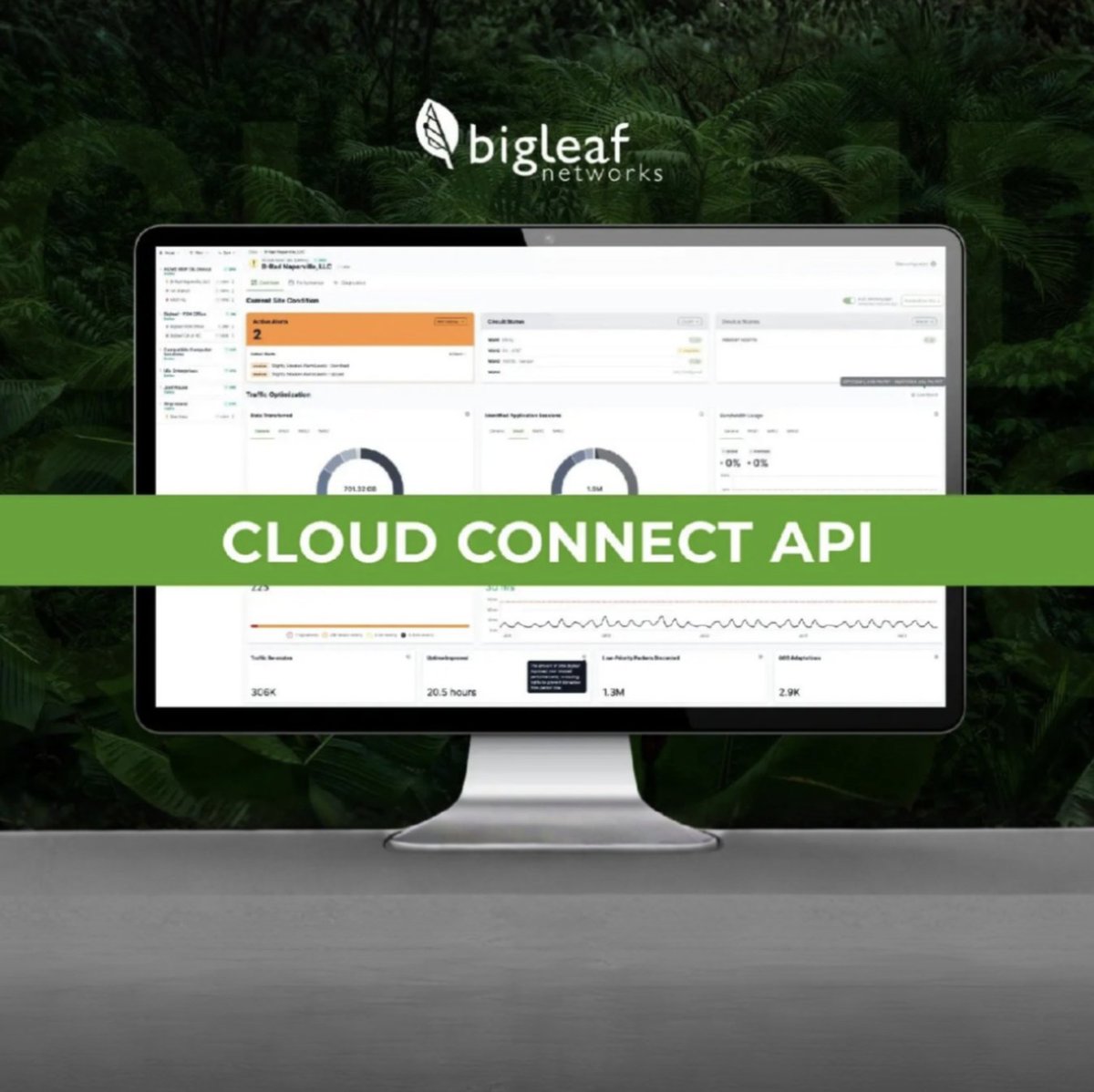 Bigleaf Networks tweet media