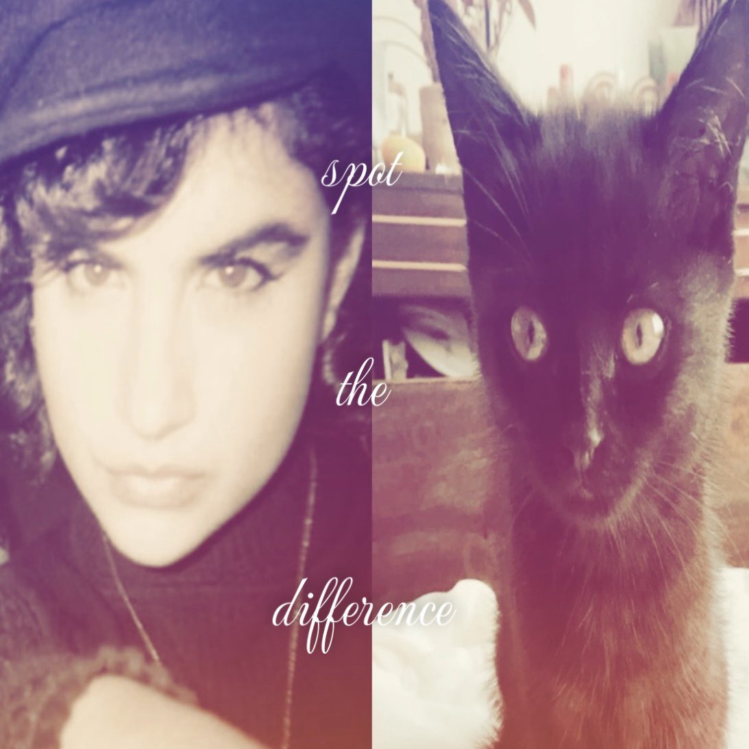 april ᢉ𐭩 IS SO QUINDA PILLED tweet media