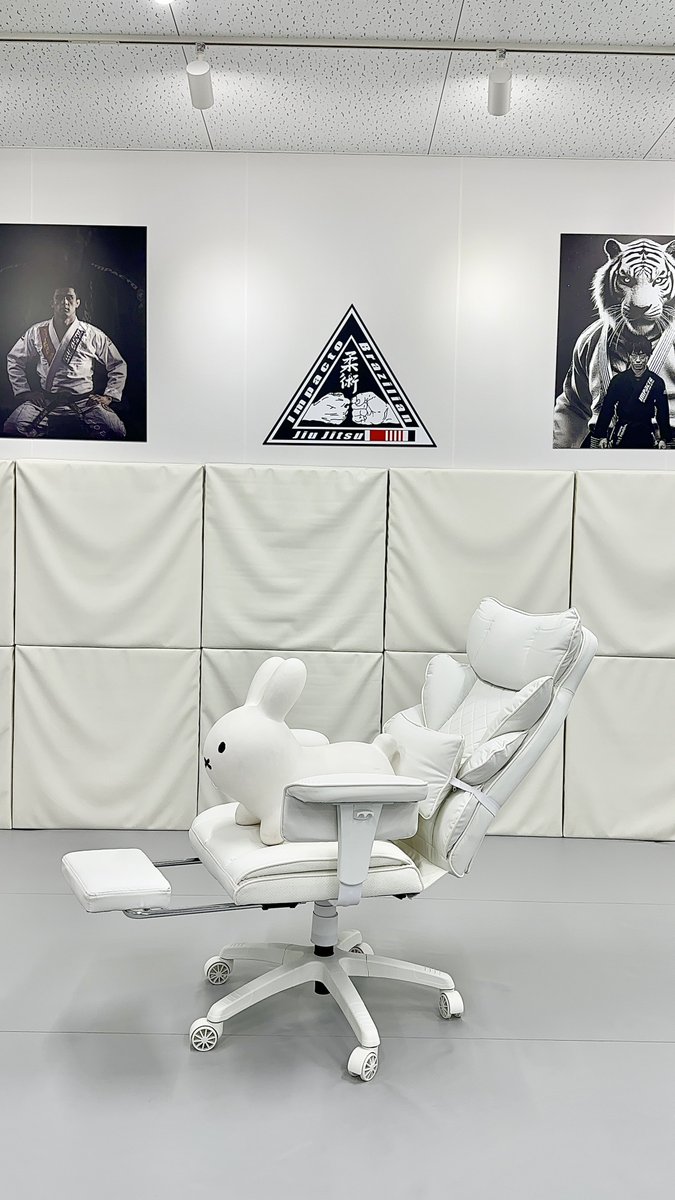 柔術が終わり、椅子の組み立て。 ゲーミングチェア。