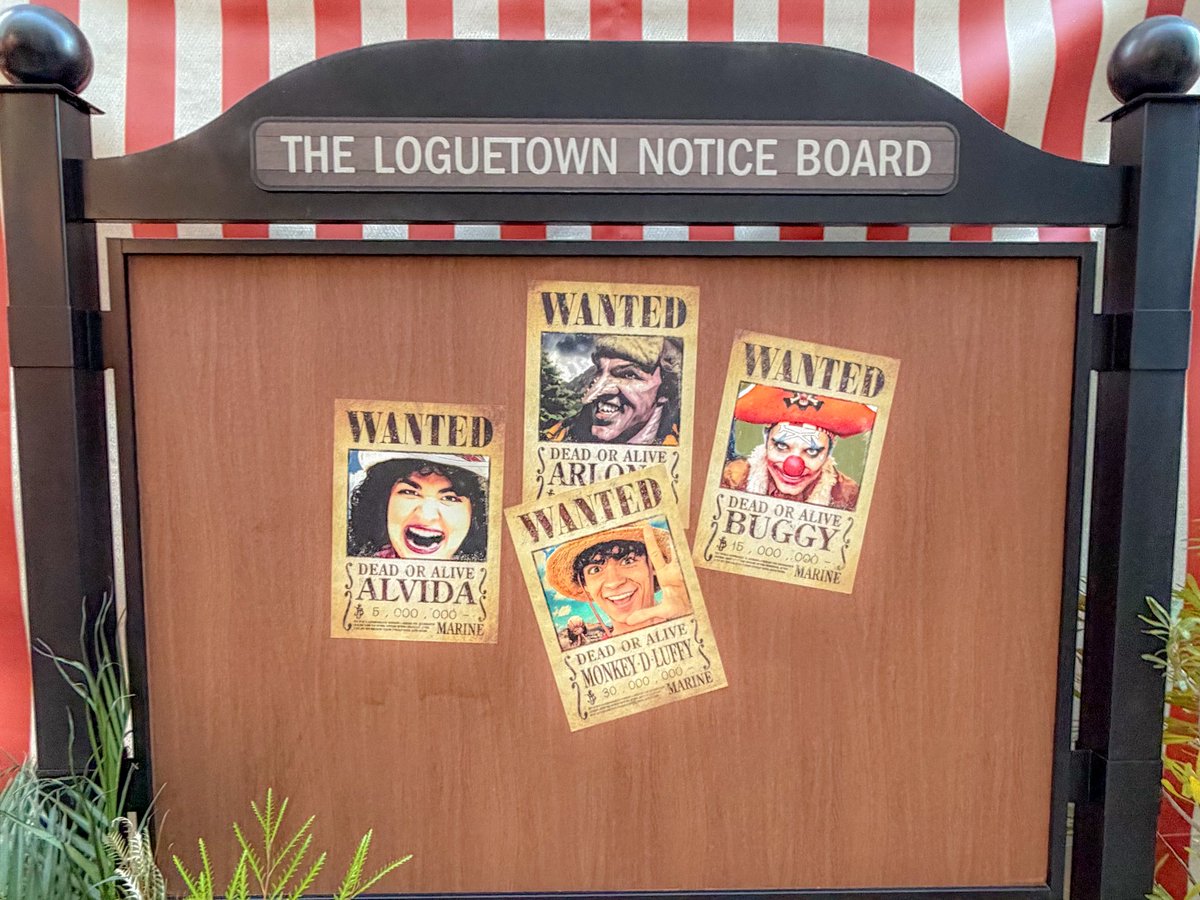 まじゅ tweet media