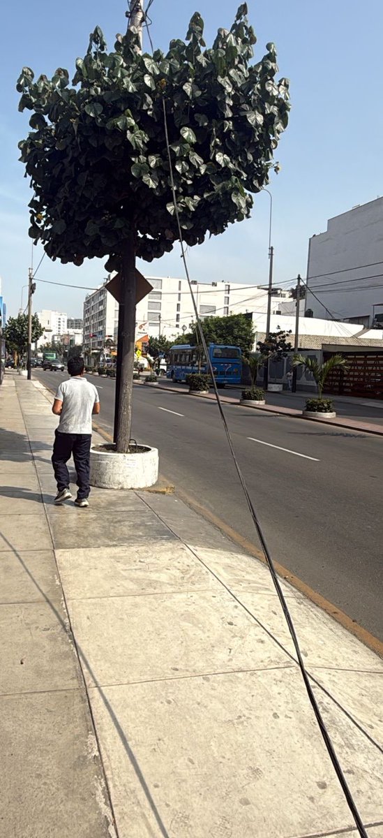 Eduardo Calderón tweet media