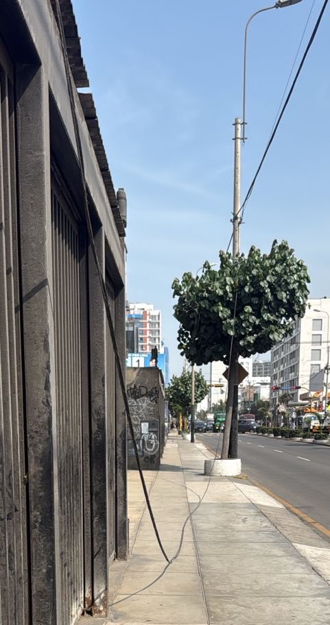 Eduardo Calderón tweet media