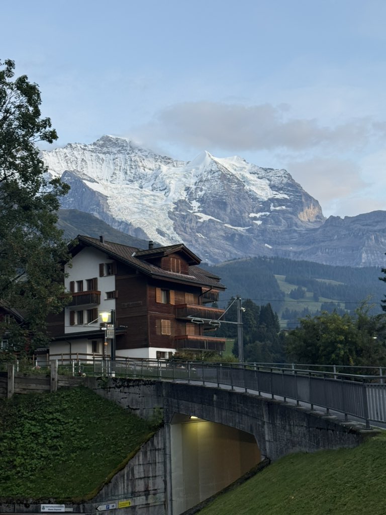 Wanderlusting Travel Bug tweet media