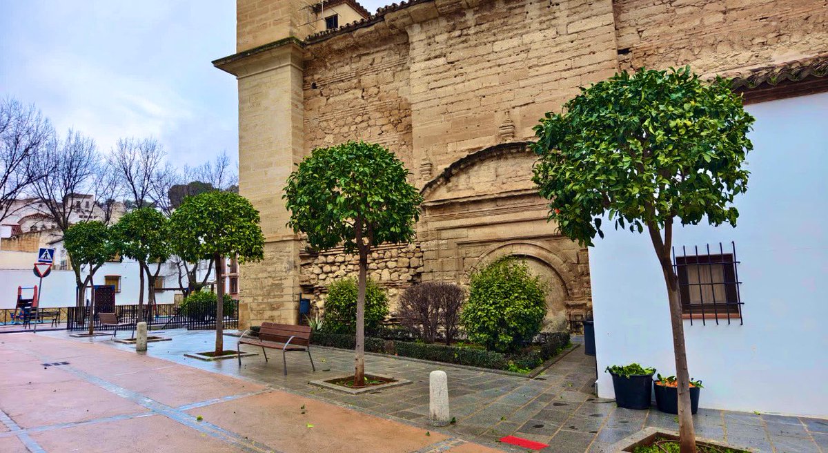 🌿 #ATiendeQ en las zonas verdes
Trabajos de poda y mantenimiento de árboles

Actuaciones:
-Zona El Carmen
-Bajada del Río
-Santa María La Vieja
-Barrio San Juan

¿Quieres contactar con nosotros?
📲 En la #APP de ATiendeQ
✅ En WhatsApp: 689 41 02 95