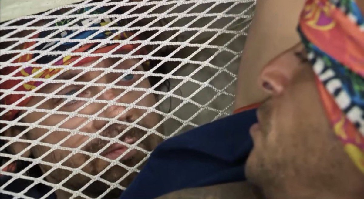 Carrie Wittmer 👻 tweet media