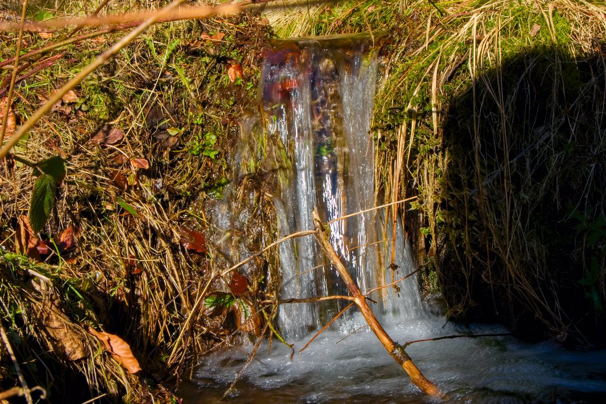 Pokud by někdo potřeboval čůrat a nešlo by mu to, mám takovou tajnou trasu, která todle vyléčí zaručeně