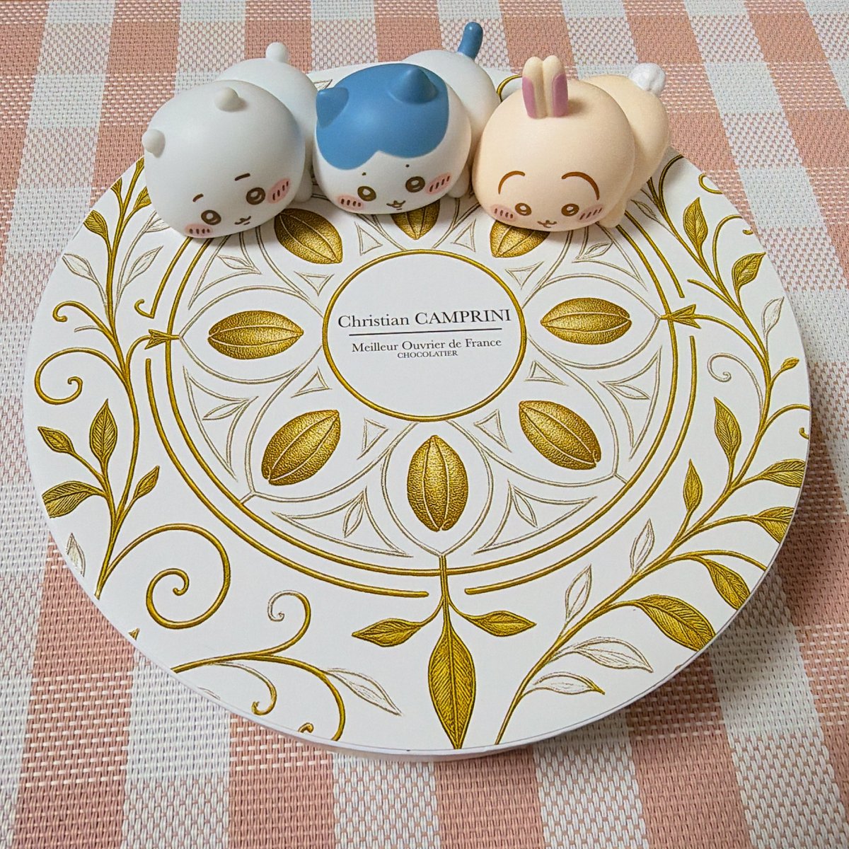 今更だけどバレンタインに買ったチョコ₍ᐢˊo̴̶̷̤ ̫₎🍫 フランス直輸入