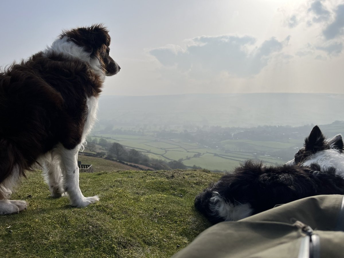 Mark Forrest tweet media