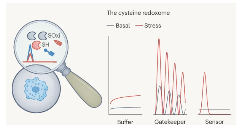 Nature Chemical Biology tweet media