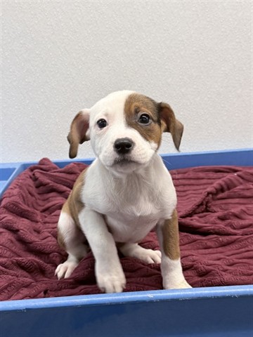 Bay County, FL tweet media