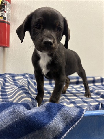 Bay County, FL tweet media