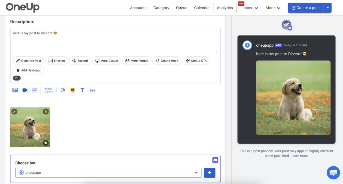 talk2OneUp's tweet photo. new feature: Discord

OneUp now supports posting to Discord communities (that you are the Admin of).
You can choose what channel you want to post to, as well as choose which bot you want to post as. https://t.co/aTS2UgRLWK