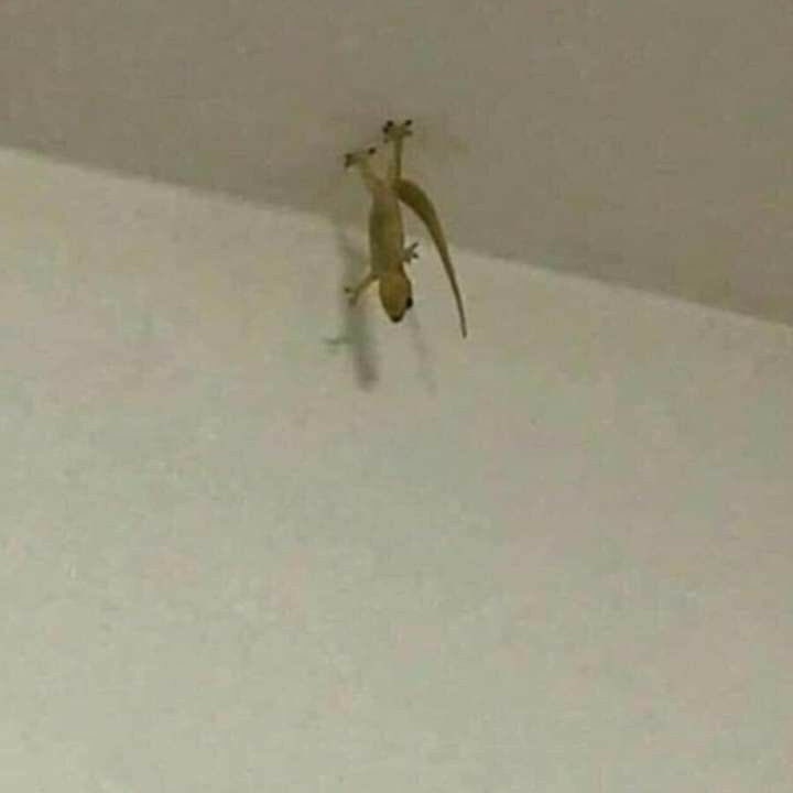 mari | 💻 tweet media