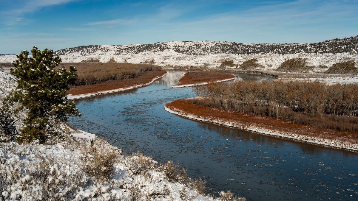 Western Priorities tweet media