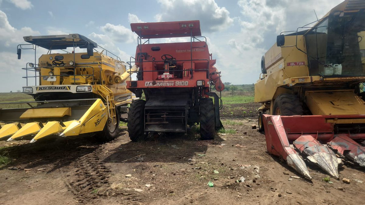 Jimmy Kiberu tweet media