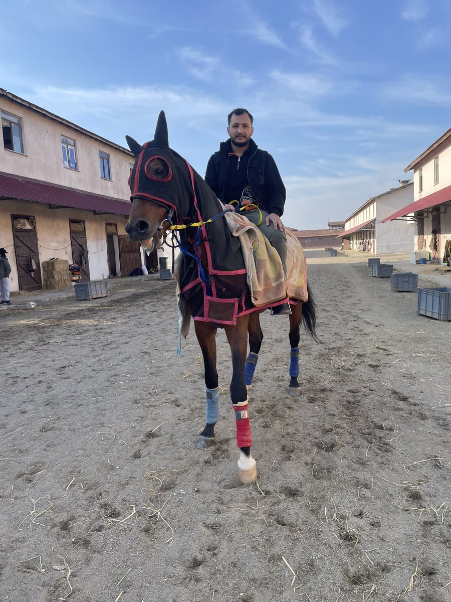 Hayati altın tweet media