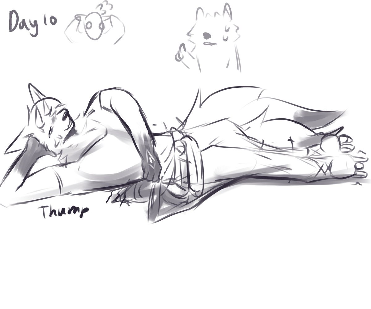 Commander pur tweet media