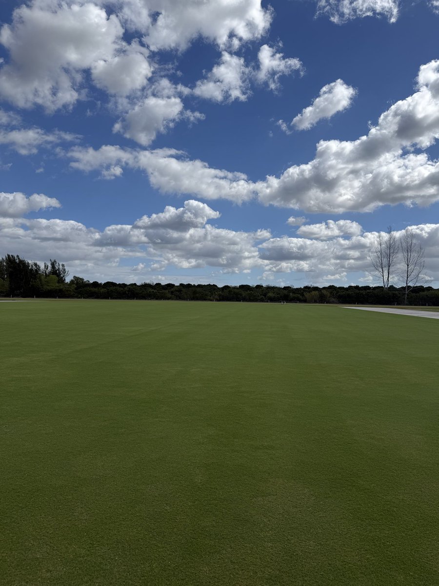 Matt Bruderek tweet media