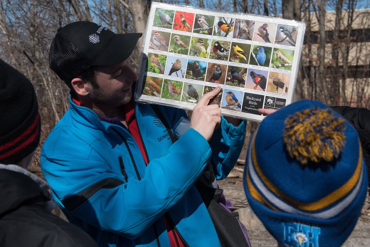 Toronto District School Board tweet media