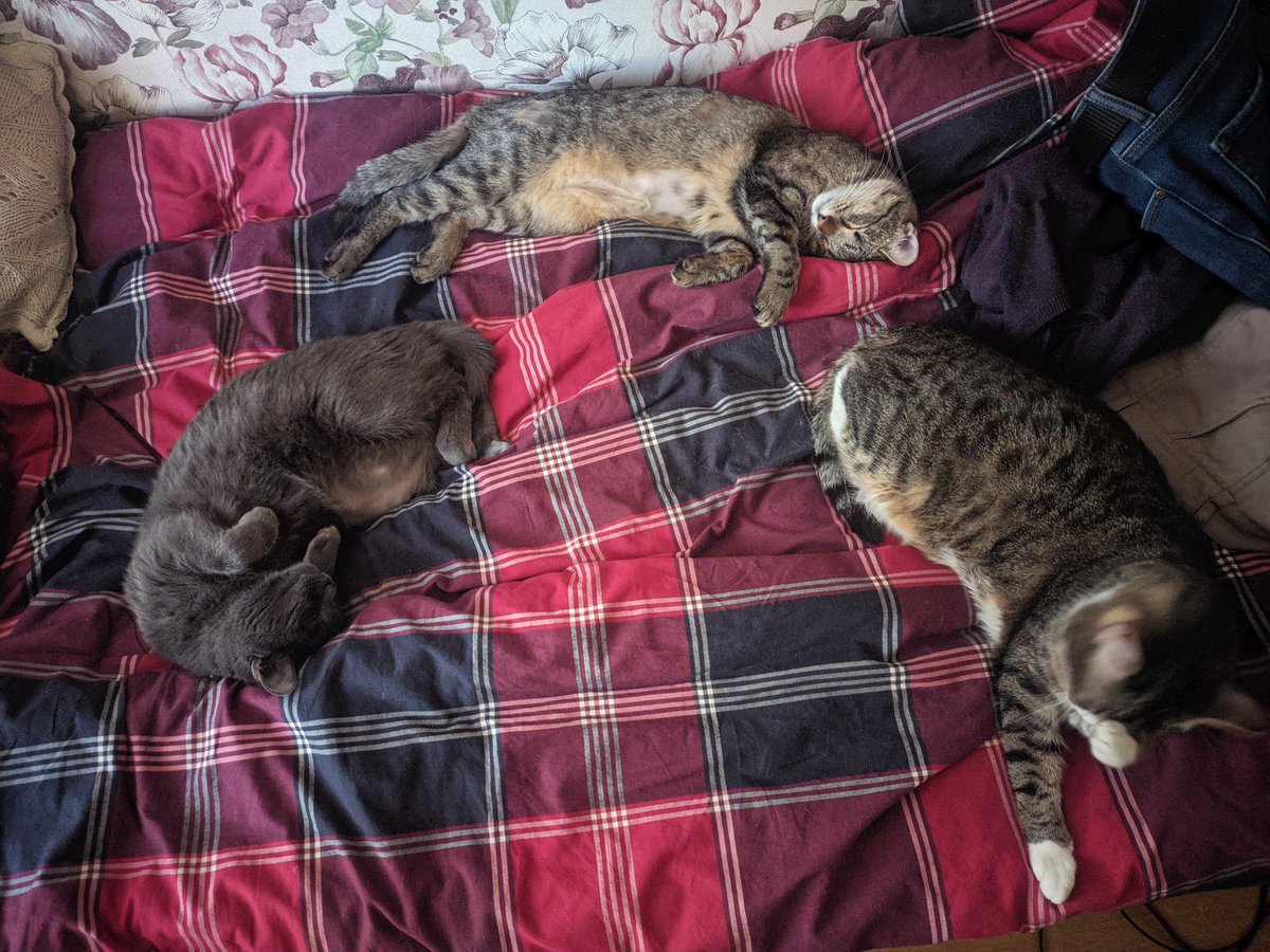 Дюша Эллингтон tweet media