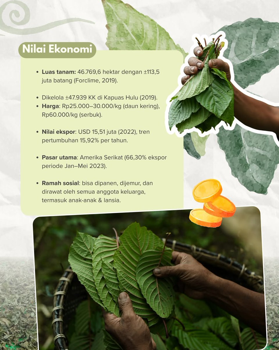 Forest Watch Indonesia tweet media