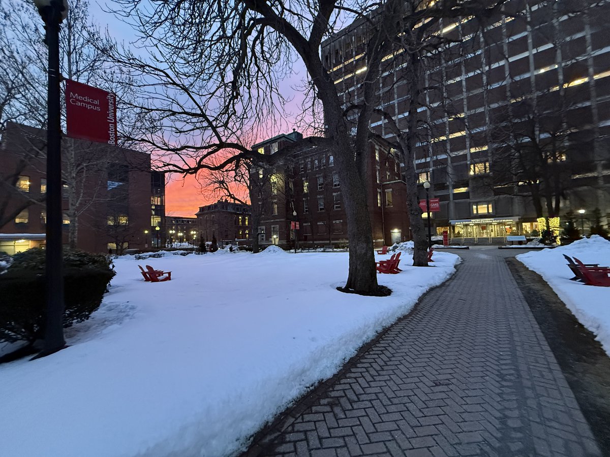 BU Graduate Medical Sciences tweet media