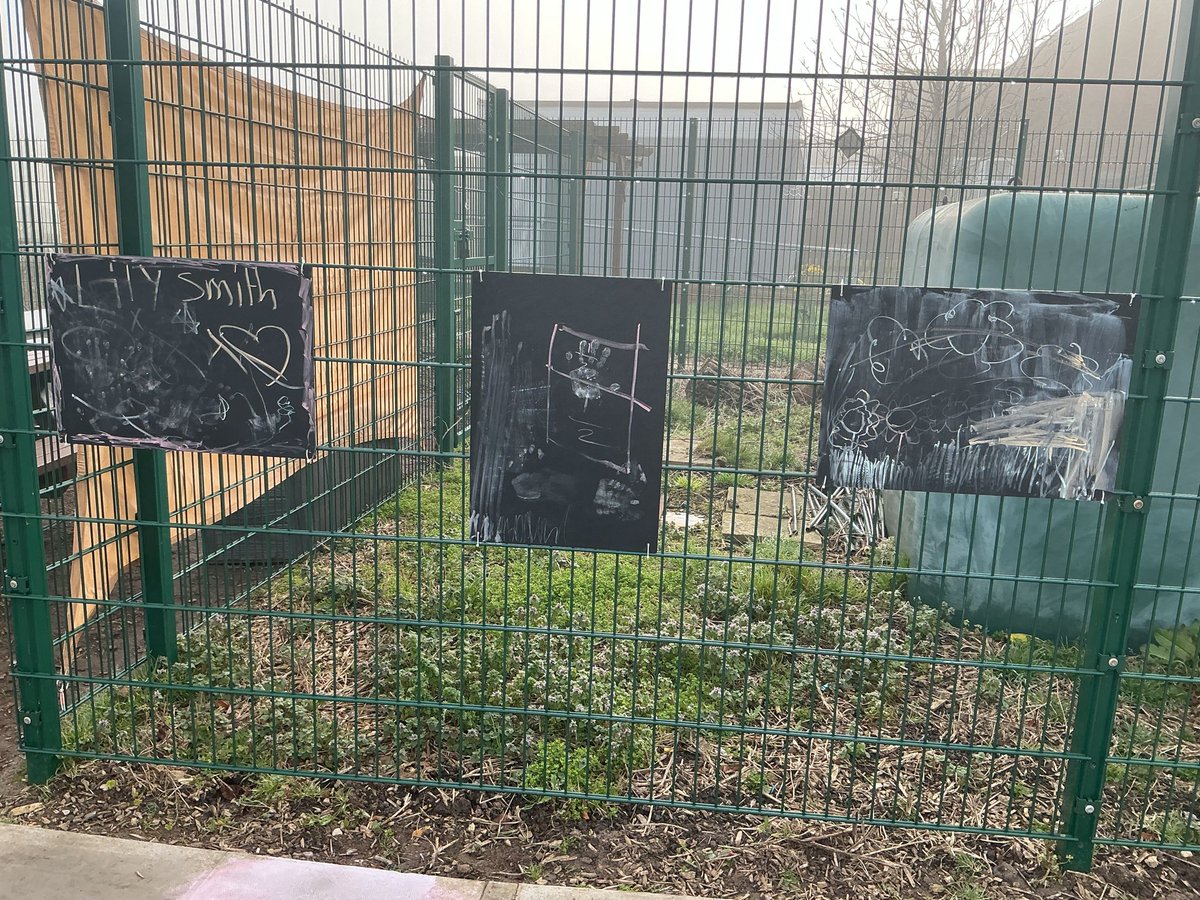 Quadring Primary tweet media