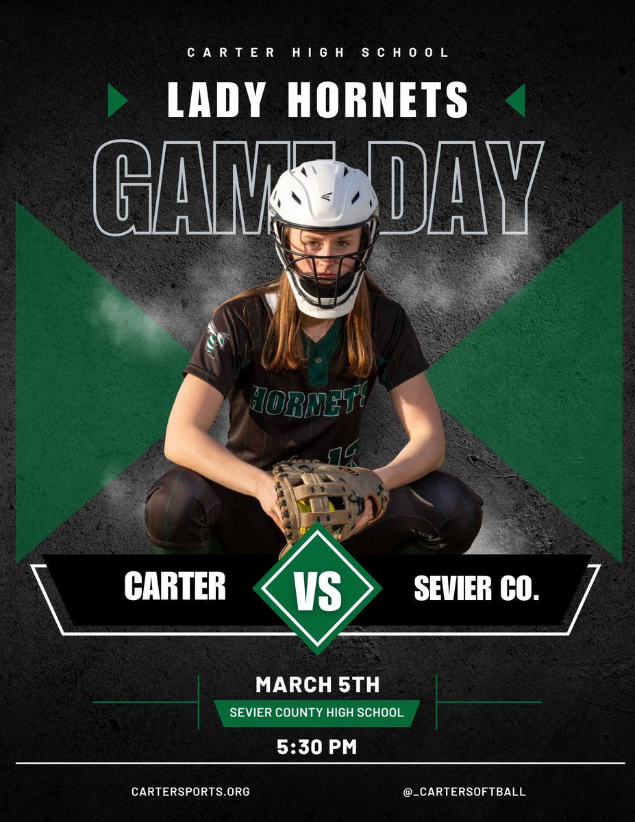 Carter Lady Hornet Softball tweet media