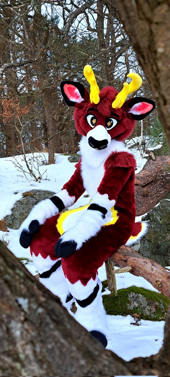 Moss🦌✨️ tweet media