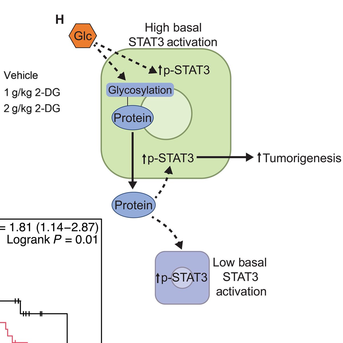 Dan Michele tweet media