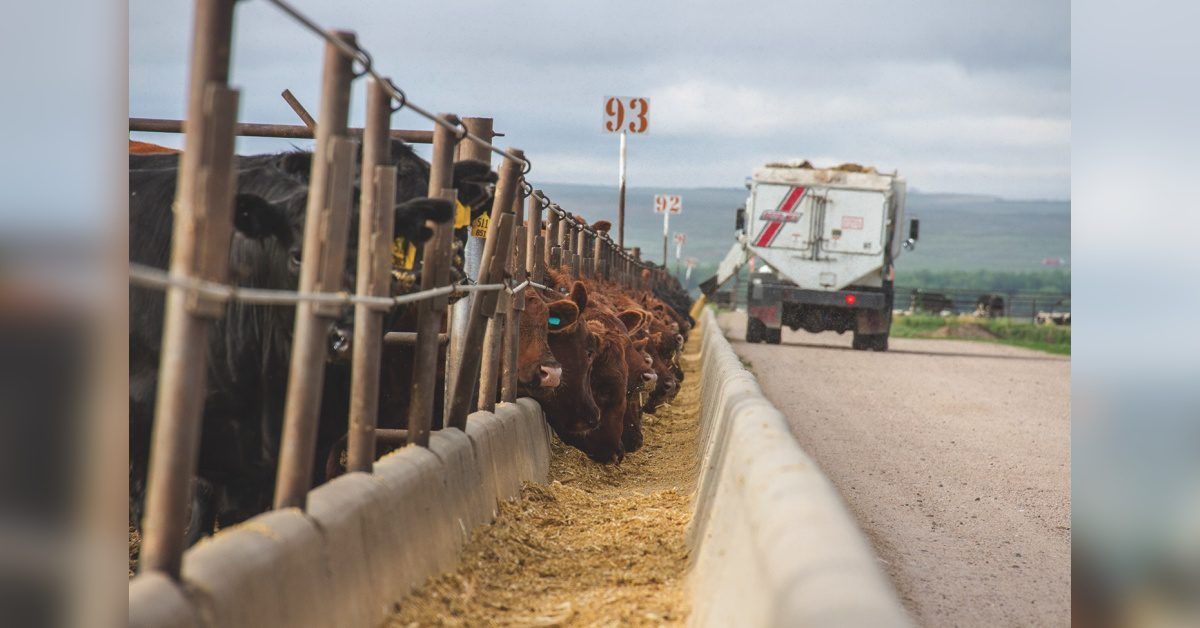 Western Ag Reporter tweet media