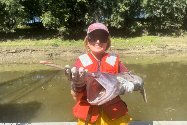 ace_corps's tweet photo. Talk about making a splash! 🐟 EPIC participant Evie helped with fish monitoring at Big Muddy National Wildlife Refuge.

Hands-on conservation experience like this builds skills &amp; careers.

Make your own splash: https://t.co/EkYZbhmsXP

#outdoors #wildlife #conservation #nature https://t.co/BuYBJtT50m