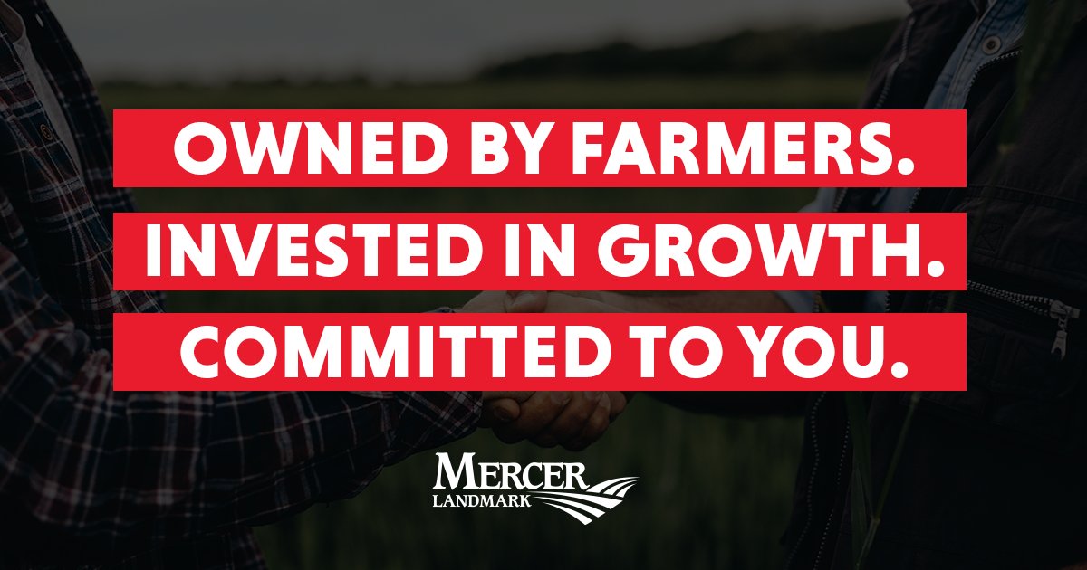 Mercer Landmark tweet media