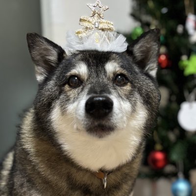 nkuy_s2's tweet photo. #新しいプロフィール画像 https://t.co/cZtHNzQgXK