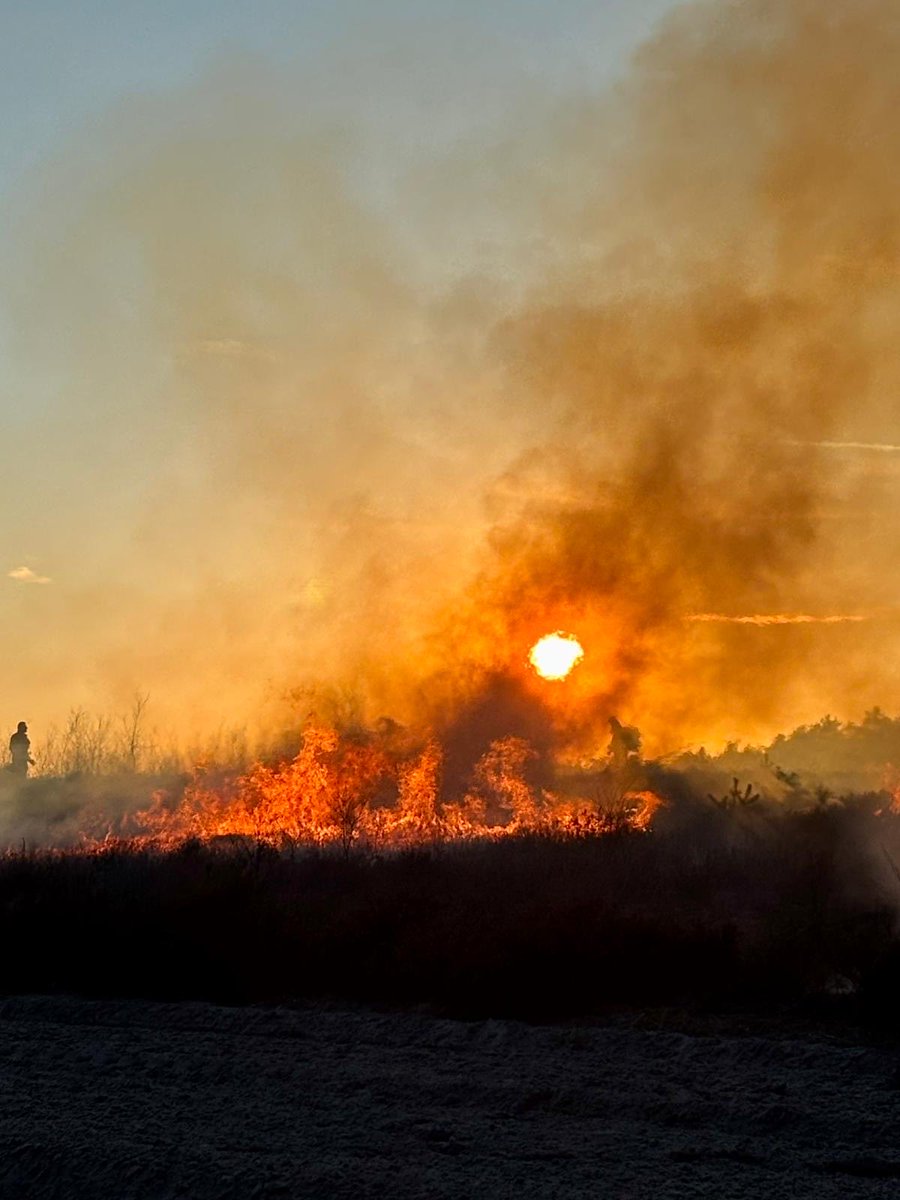 Artillerie Schietkamp tweet media