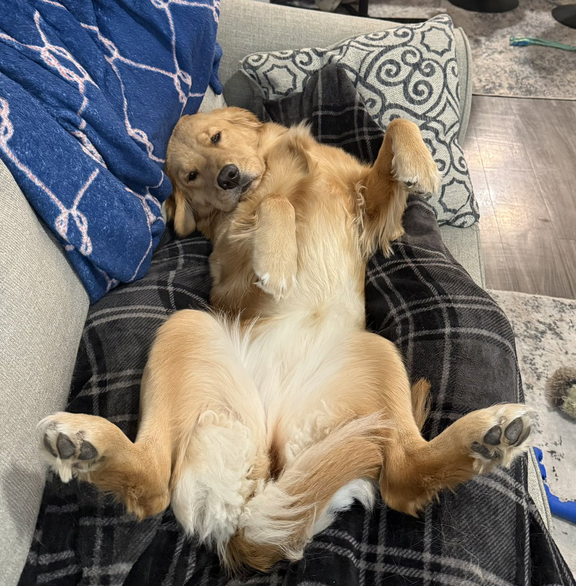 MikeIndo22's tweet image. Day 1,223 of tweeting @vindiesel until he promises me he’s going to put Pepas in the next Fast movie.  I will never stop grinding, I am dedicated #family and I know what this song will do to #FastandFurious #Fast11 needs this. I need this. Athena needs this.