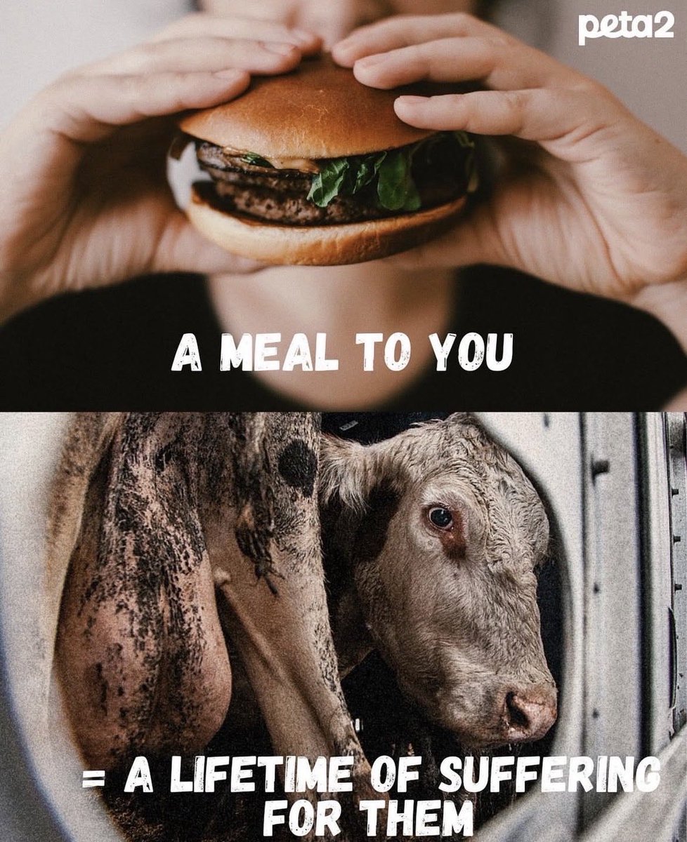 NothingIsArt (@nothingisart) on Twitter photo 