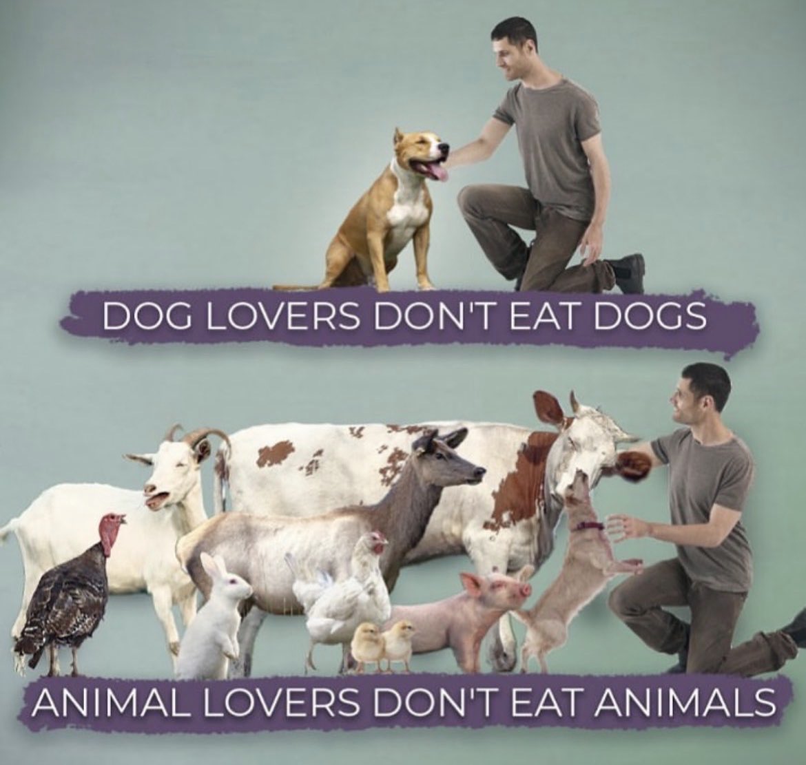 NothingIsArt tweet media