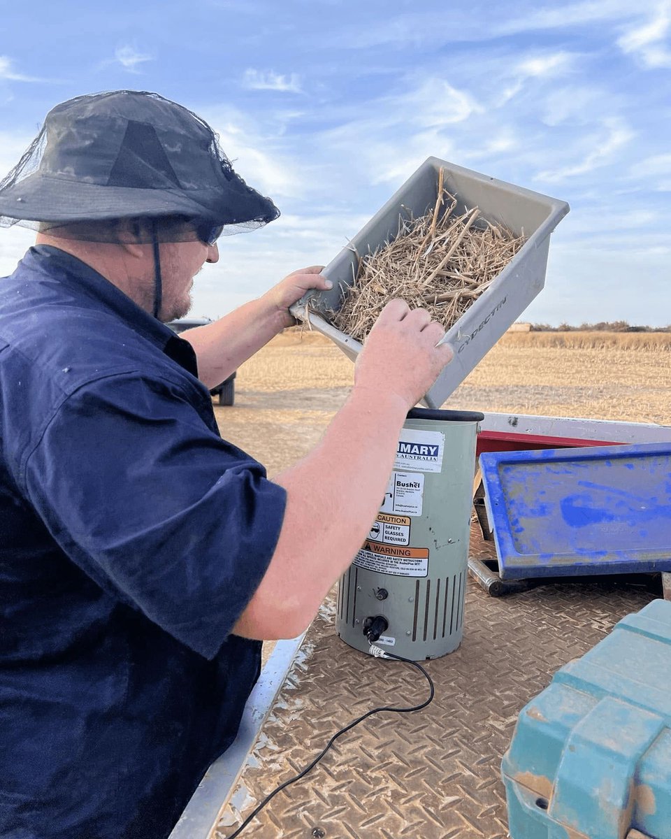 Bushel Plus 🌾 tweet media