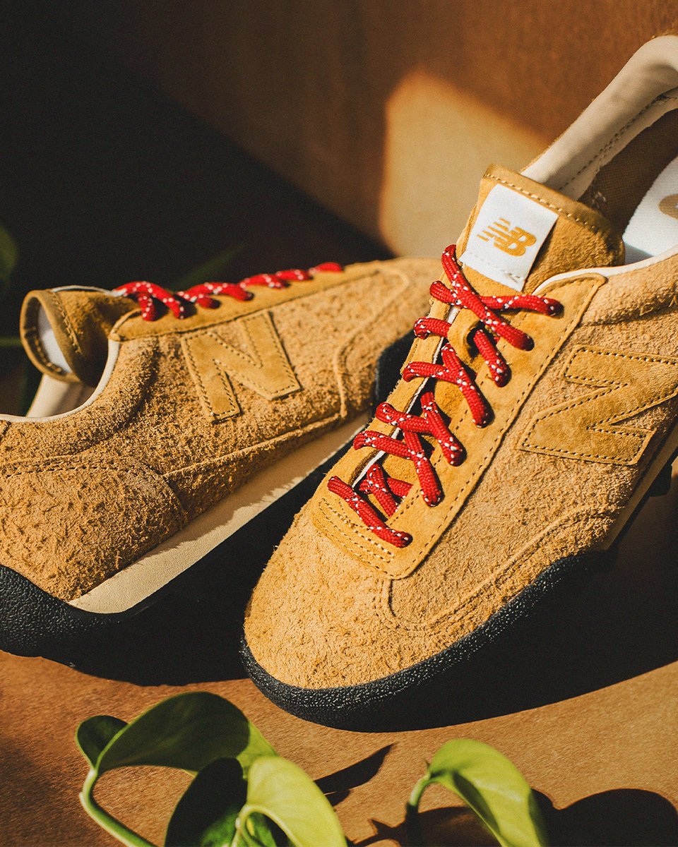 Solestop tweet media