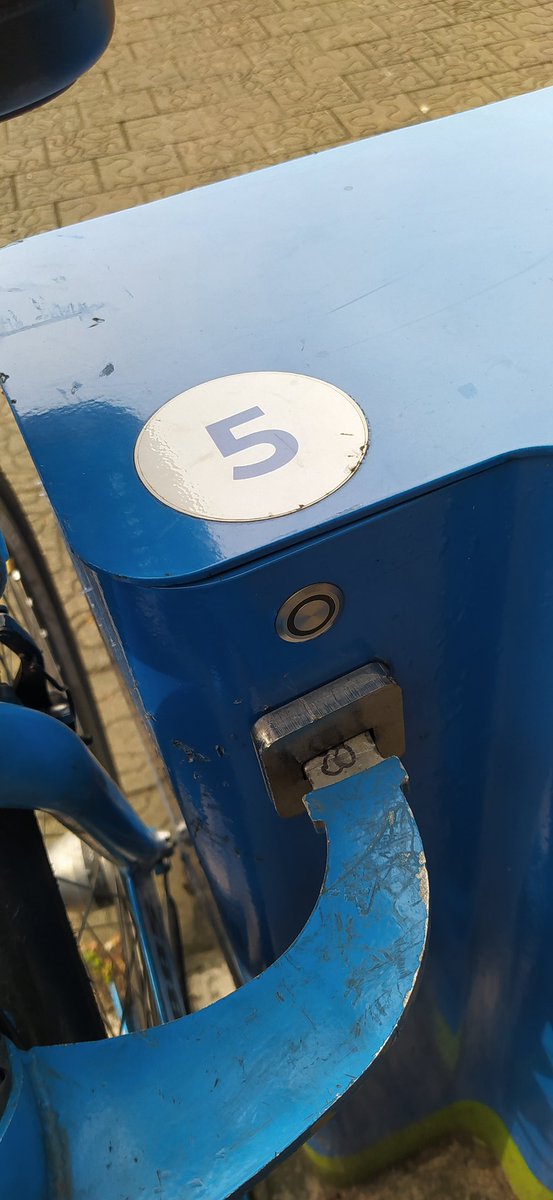 Alexander Ferms tweet media