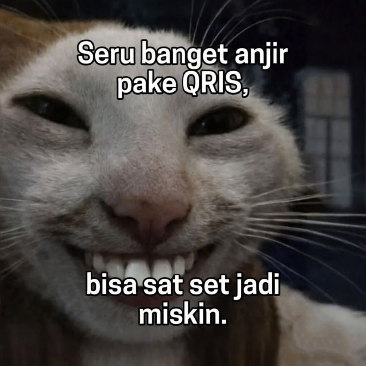 el (@halupulisi) on Twitter photo 