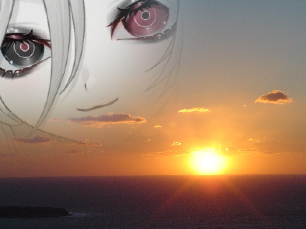 nemo 🐦‍⬛ tweet media